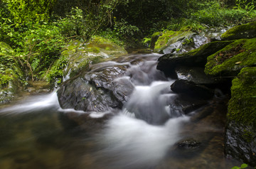 峡谷青苔溪流