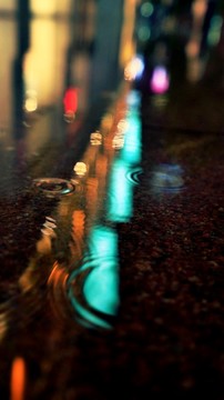 雨 光 雨夜 夜景 城市 灯