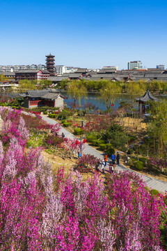 青州宋城风景春天南阳河景区