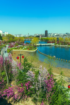 青州宋城风景春天南阳河景区