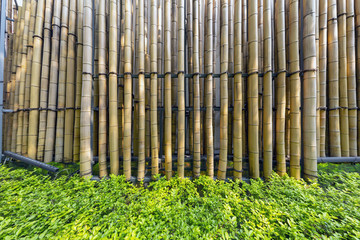 竹子墙