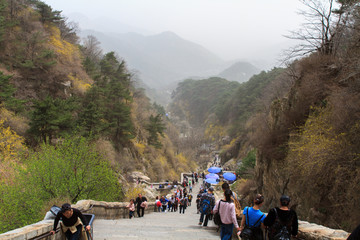 登泰山