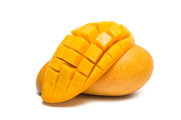 黄金芒 金腰芒