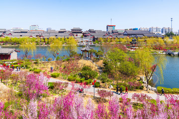 青州城市风景南阳河景区春天