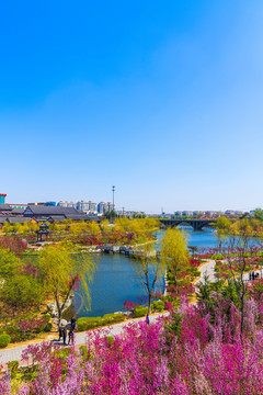 青州城市风景南阳河景区春天