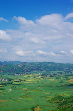 乡村 绿色乡村