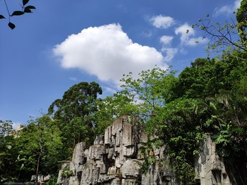 蓝天白云 花草树木 假山石雕