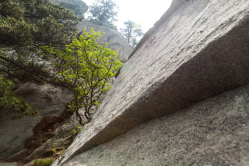 龟峰山 岩石