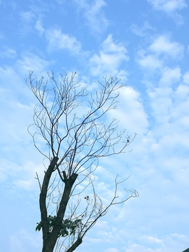 天空