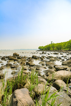 海岸石滩