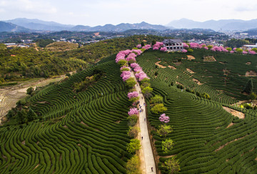 永福樱花园