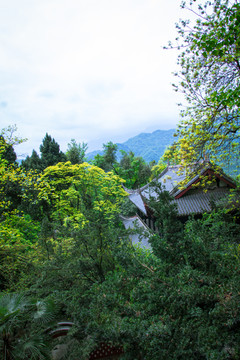 中国古建筑