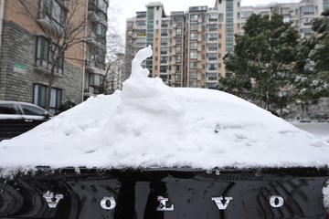 上海下雪