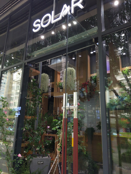 植物店铺