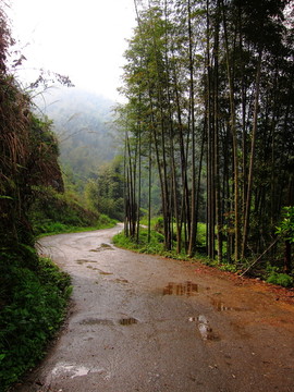 山区道路