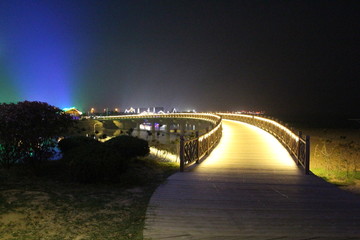 海边木桥