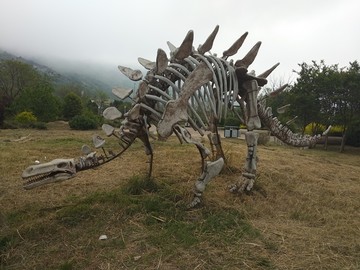 恐龙骨架雕塑