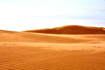 沙丘 荒凉地貌