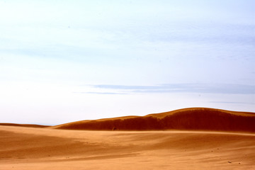 沙地风貌 沙漠