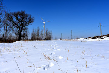 雪中脚印 脚印