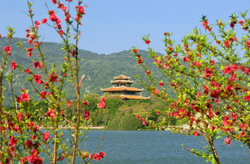 泉州西湖公园风景