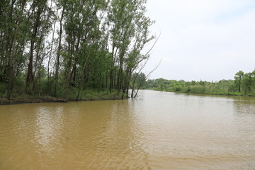 原生态湿地