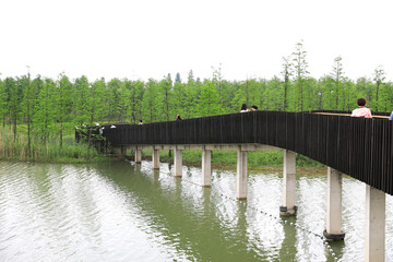 湿地桥梁