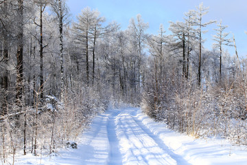 林海雪原雪路