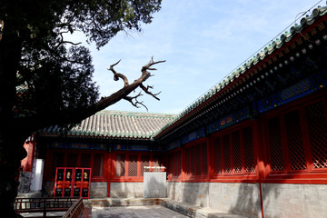 孔庙 北京风光 庭院