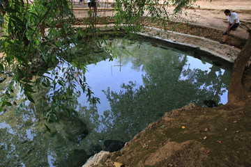 大榕树 温泉 德宏 芒市风光