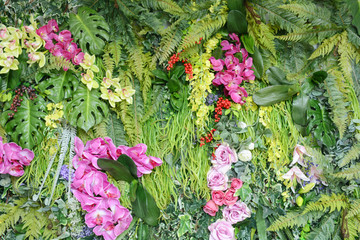 绿植墙