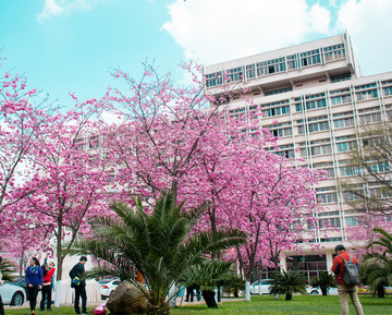 昆明理工大学