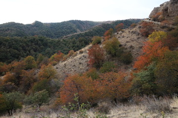 万山红遍