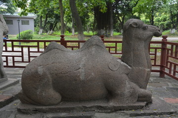 骆驼石刻