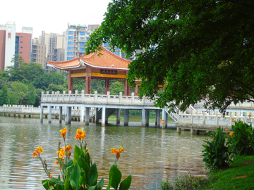 公园