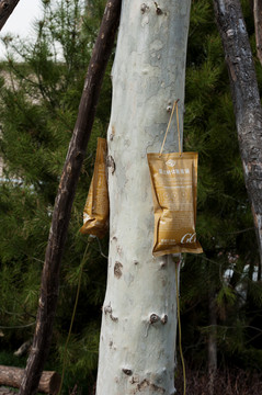 树林营养液 大树吊针液