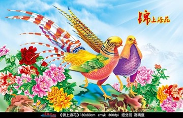 锦鸡 锦上添花