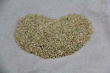 糙米 玄米 粗米