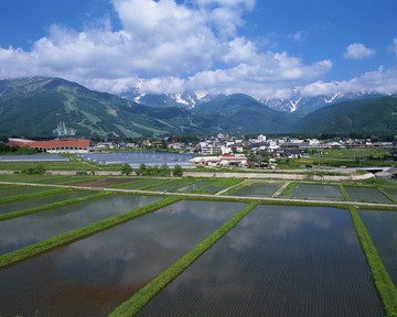 风景 四季 日本 田野 樱花