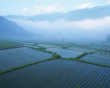 风景 四季 日本 田野 樱花