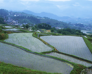 风景 四季 日本 田野 樱花