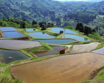 风景 四季 日本 田野 樱花