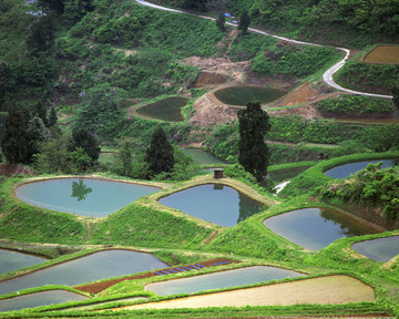 风景 四季 日本 田野 樱花