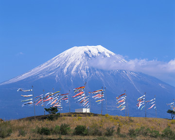 风景 四季 日本 田野 樱花