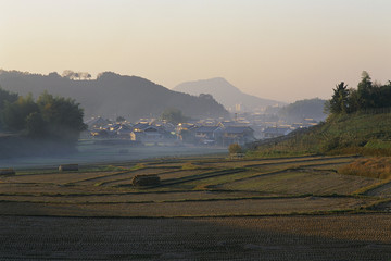 风景 四季 日本 田野 樱花