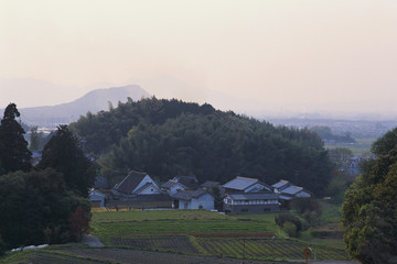 风景 四季 日本 田野 樱花