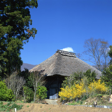 风景 四季 日本 田野 樱花