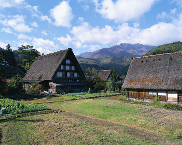 风景 四季 日本 田野 樱花