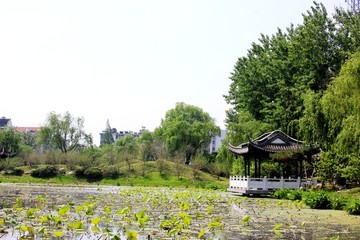 扬州荷花池公园