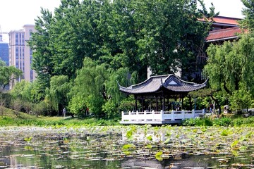 扬州荷花池公园